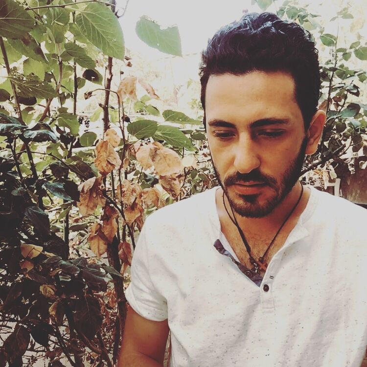 ���� 17658913 ������� Gio, 32 ����, ���� ���������� � �������