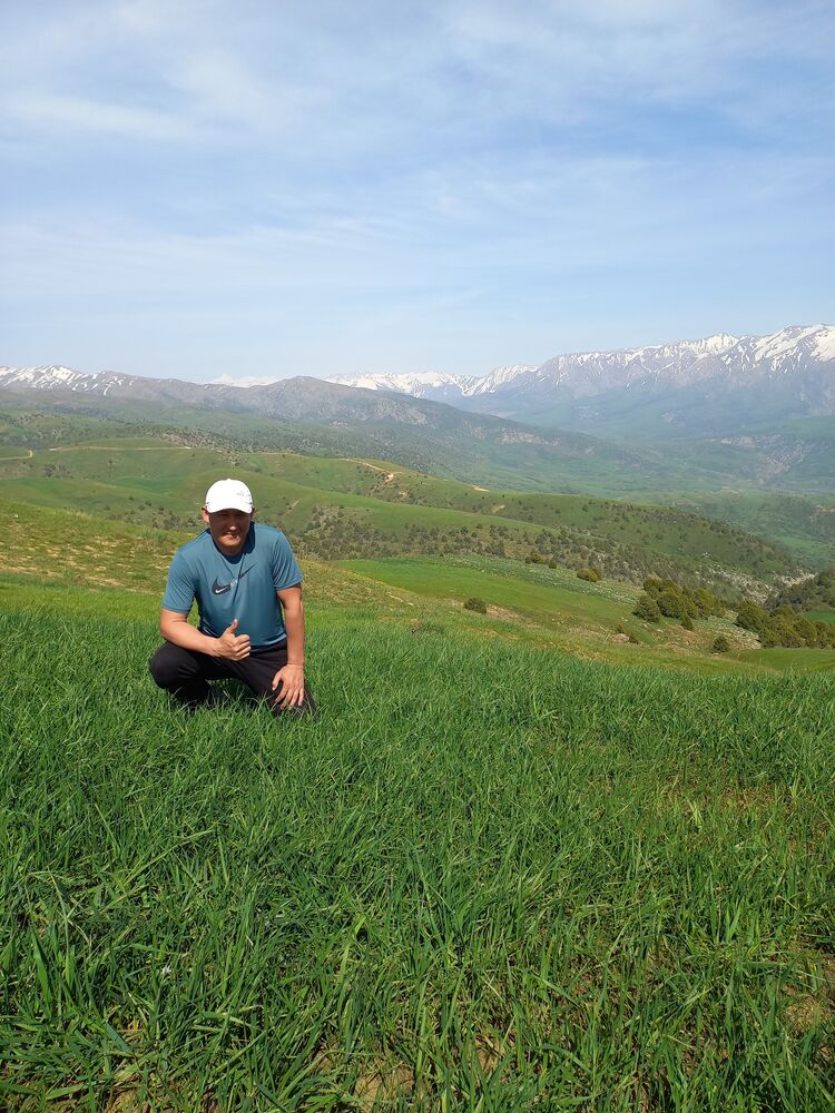 ���� 27269033 ������� ������, 34 ����, ���� ���������� � ��������