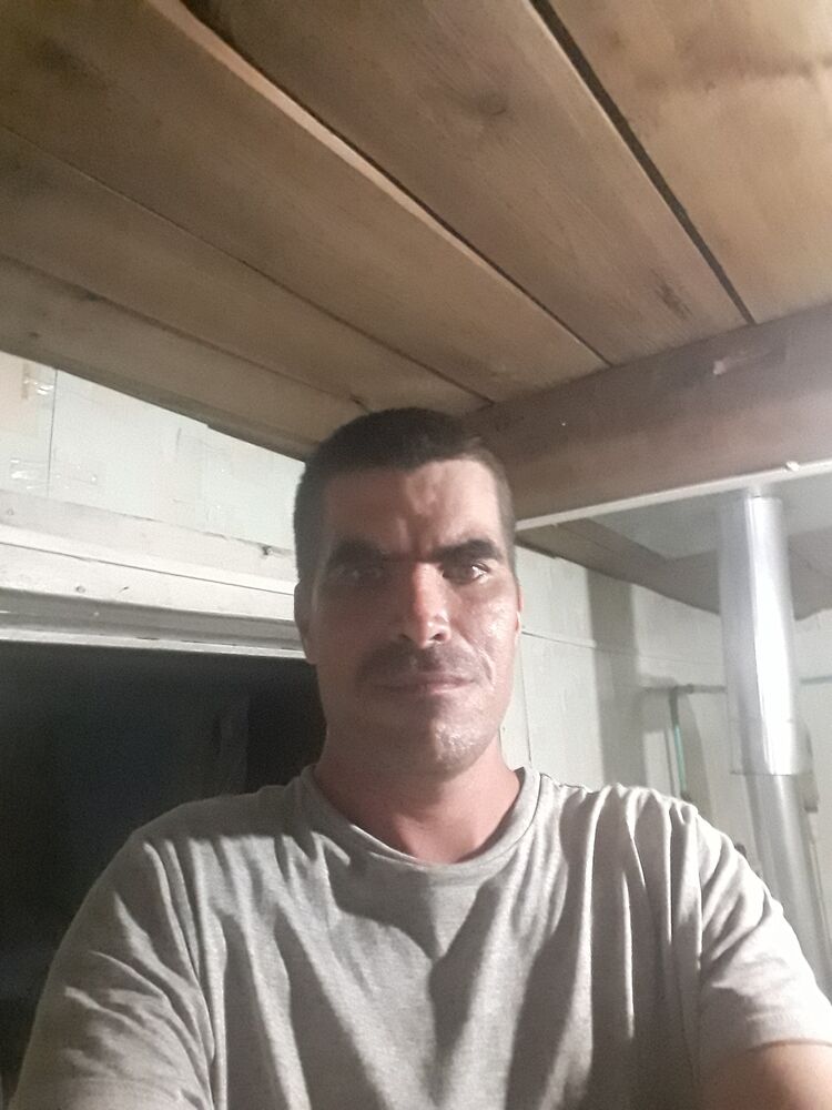 ���� 23458603 ������� �����, 38 ���, ���� ���������� � ���