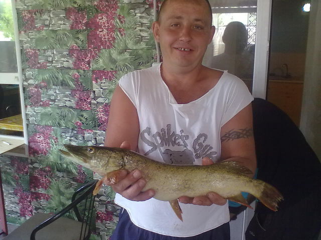  ,   , 44 ,   c , 