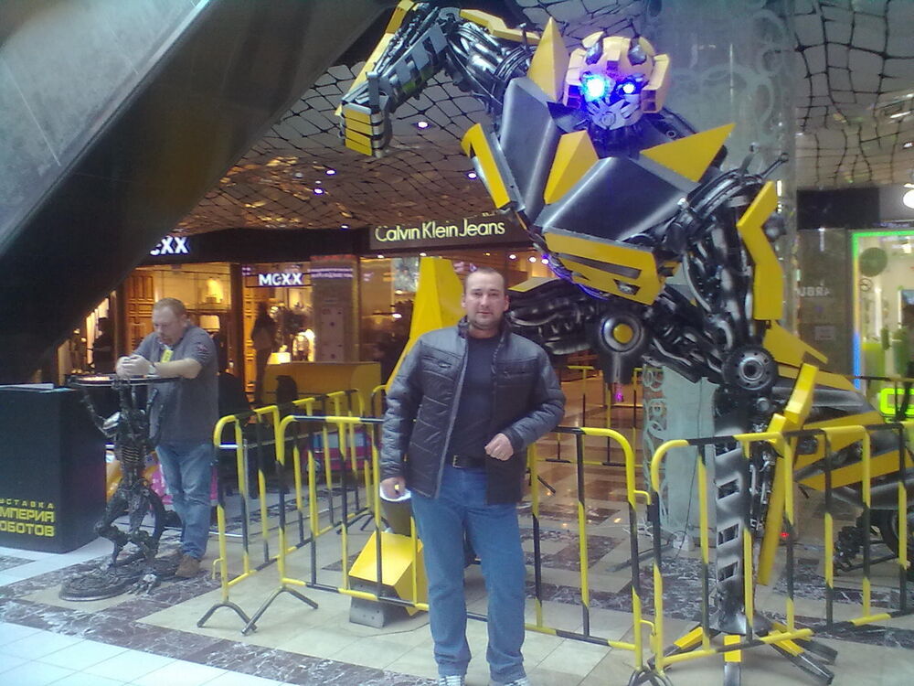  38213993  , 41 ,    -