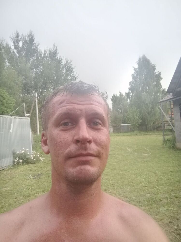  23238913  , 43 ,    
