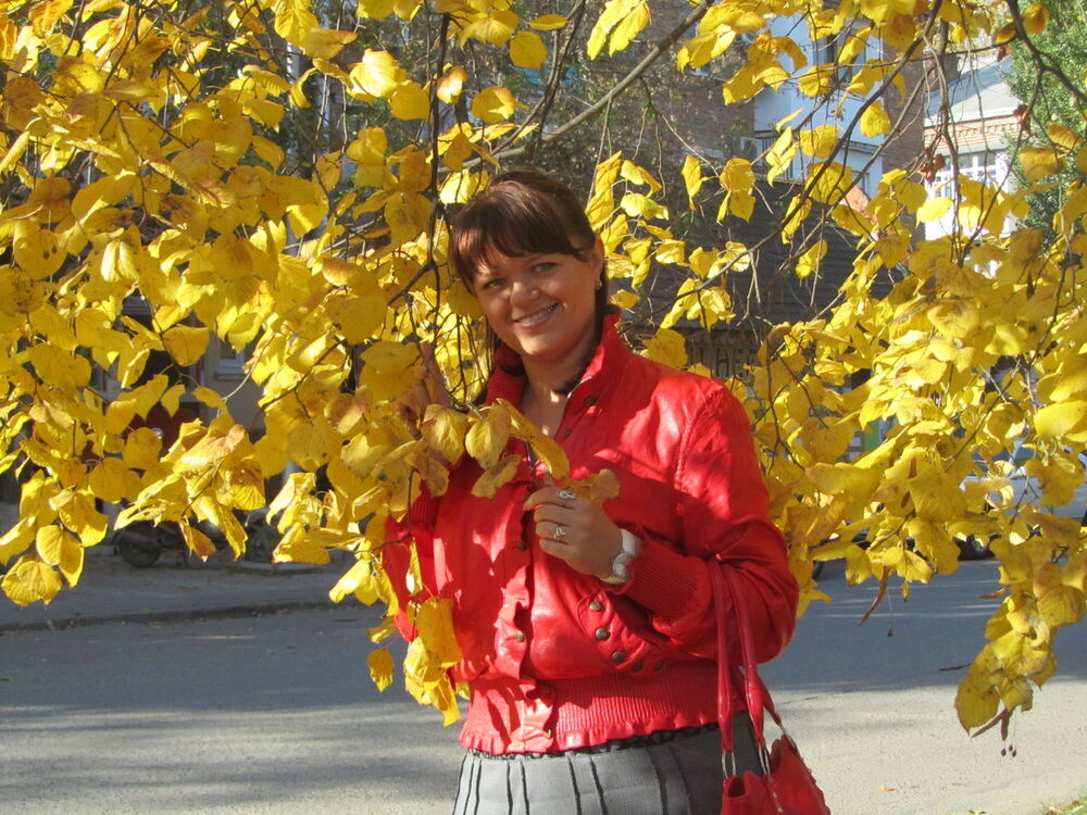 ���� 3988803 ������� �������, 49 ���, ���� ���������� � ����������� �����