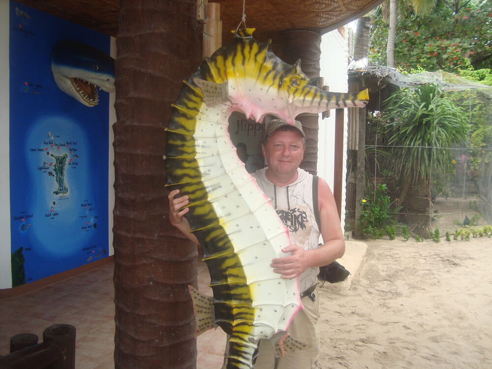 ���� 54155393 ������� �����, 57 ���, ���� ���������� � ����������