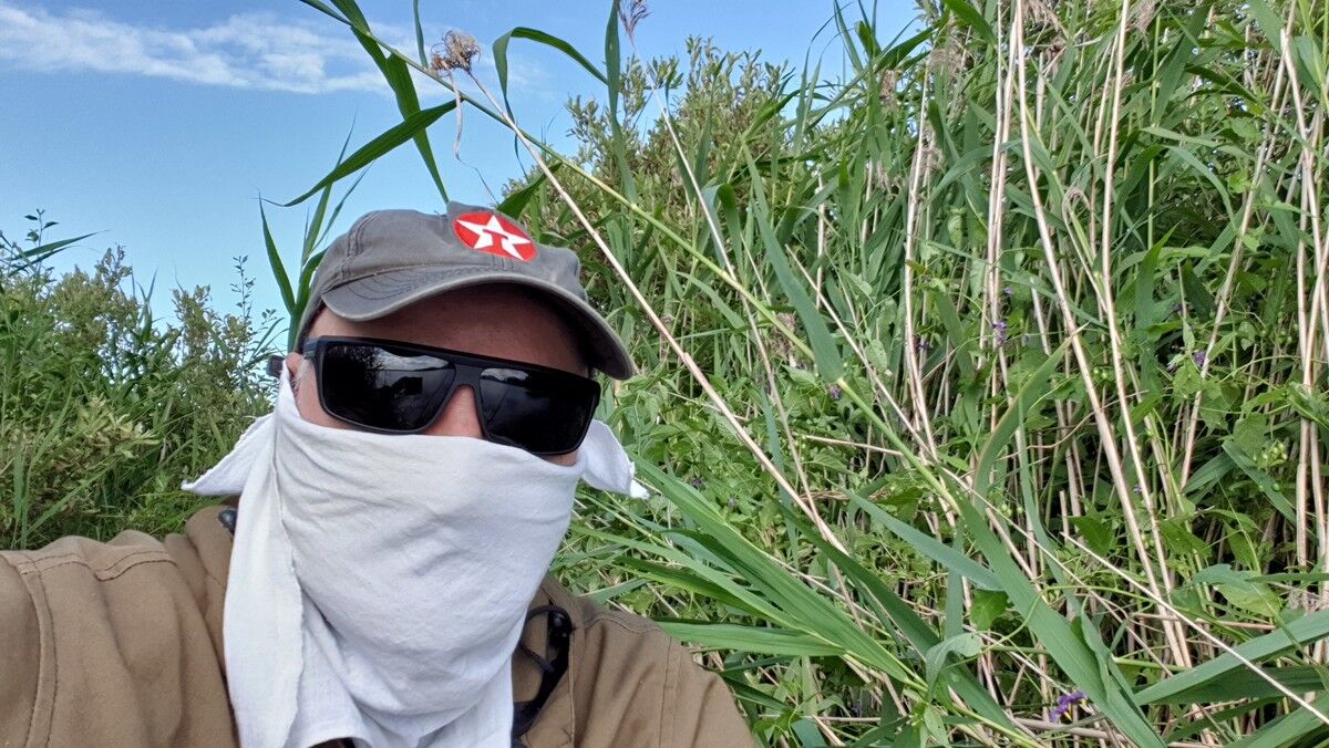  18893283  Andrey, 104 ,    