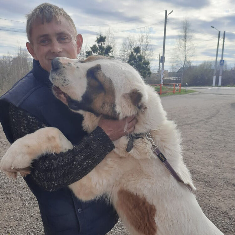 ���� 20015913 ������� ����, 45 ���, ���� ���������� � ������