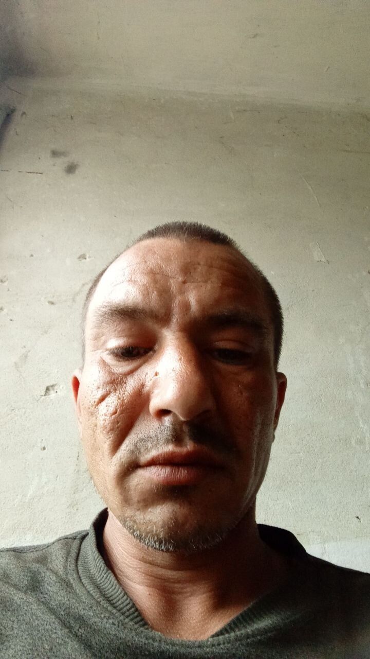 43775803  , 38 ,    