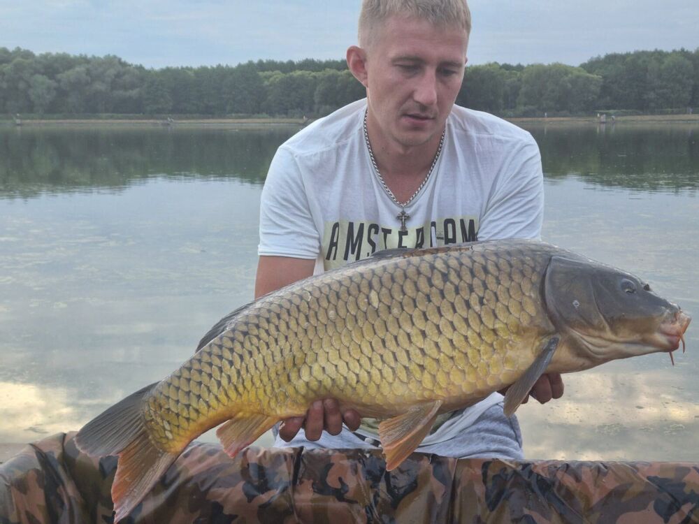 ���� 23833753 ������� ������, 39 ���, ���� ���������� � ������