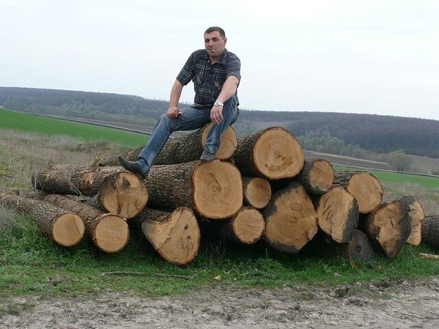 ���� 11179993 ������� ��������, 44 ����, ���� ���������� � ��������