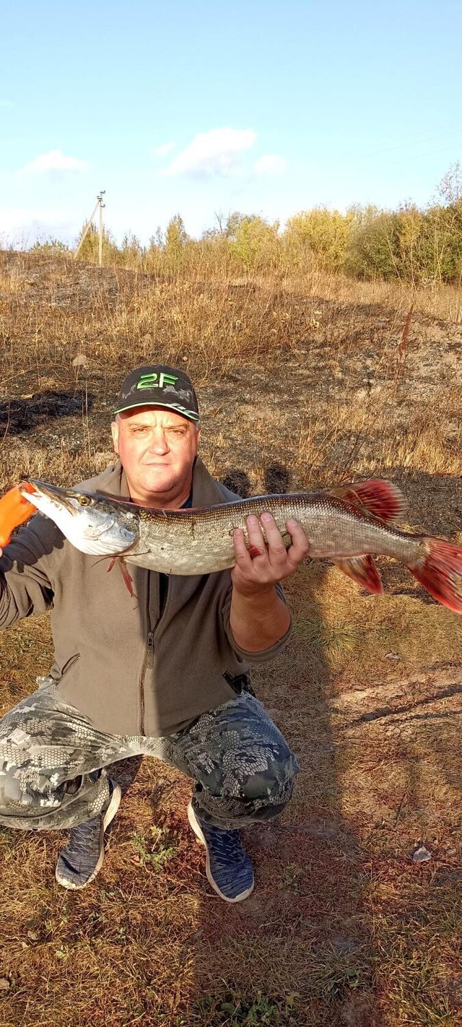 ���������� �����, ���� ������� ��������, 57 ���, ������������ ��� ����� � ���������