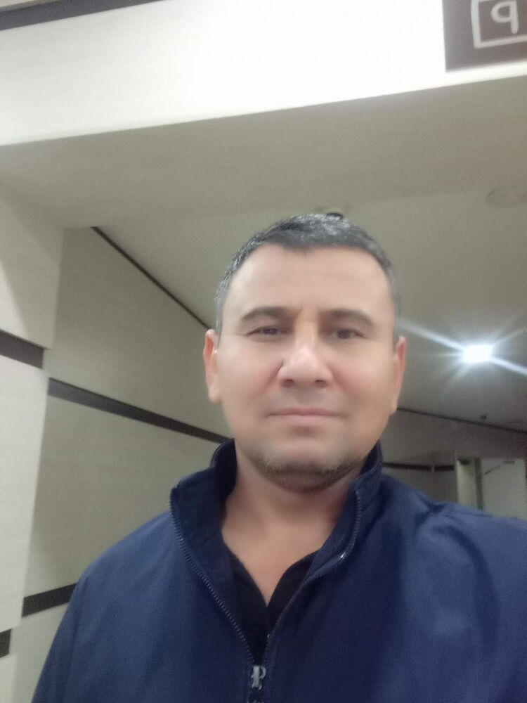  48598603  , 43 ,    