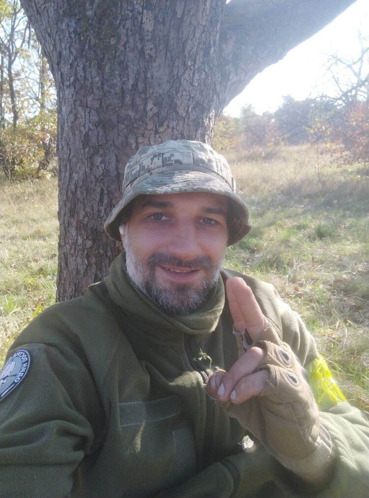 ���� 31184723 ������� ����, 38 ���, ���� ���������� � ��������