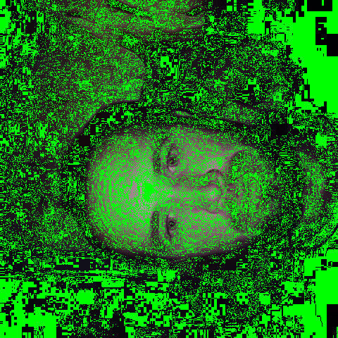 ���������� ������, ���� ������� ��������, 29 ���, ������������ ��� ������, ����� � ���������, c�������� ���������