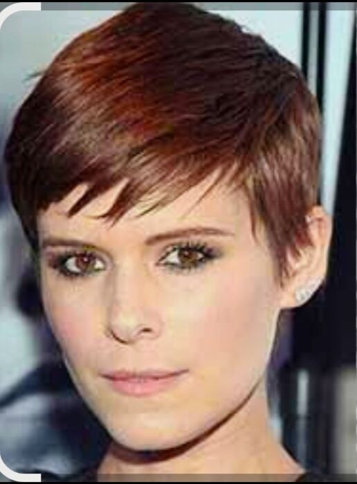 ���������� ������, ���� ������� Sasa, 25 ���, ������������ ��� ������, ����� � ���������, ���������