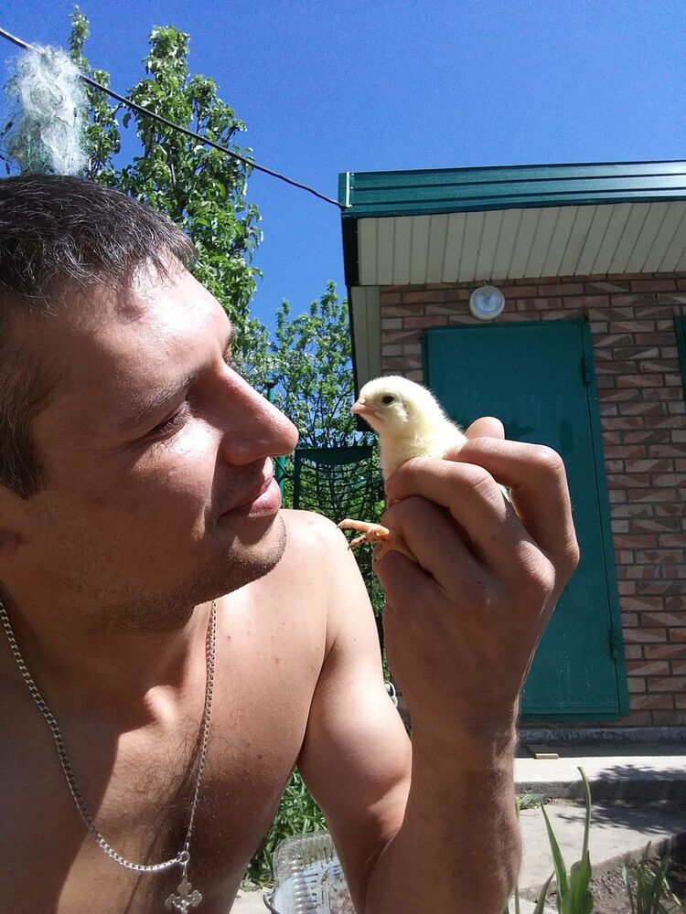  9541233  , 42 ,    --