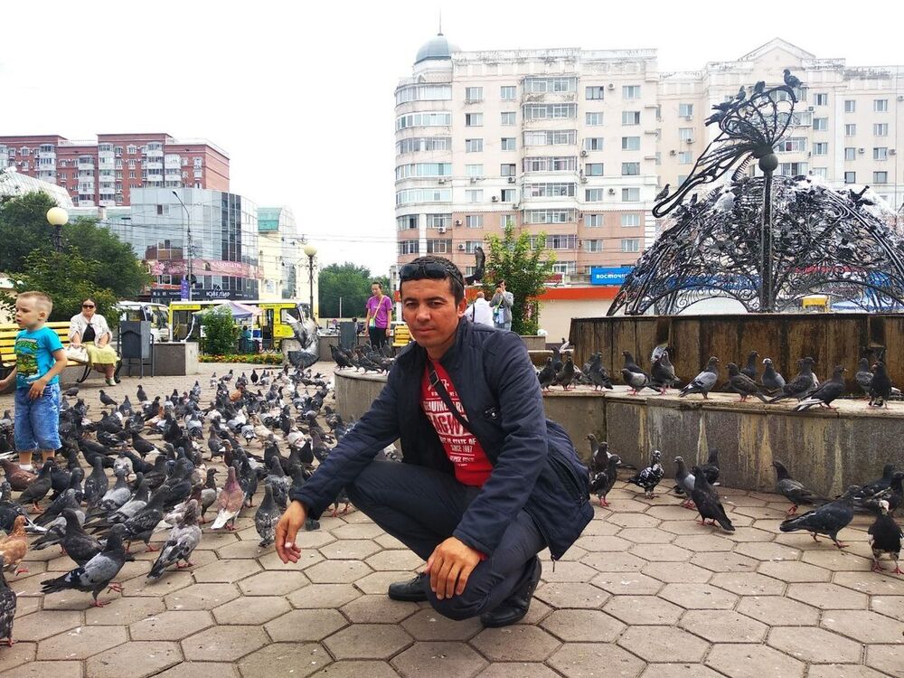 ���� 17015463 ������� �����, 35 ���, ���� ���������� � �������������