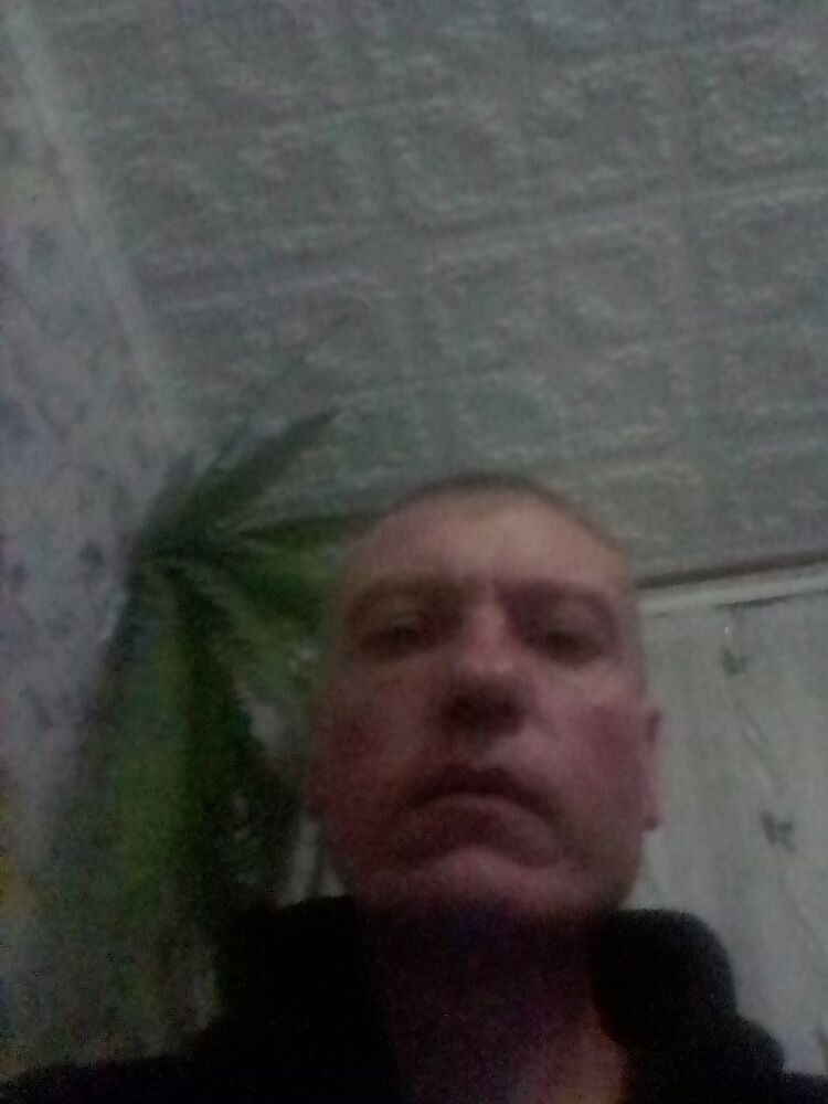 ���� 17862053 ������� ������, 48 ���, ���� ���������� � ���������