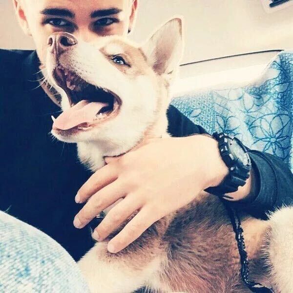 ���������� ������, ���� ����� �����, 22 ����, ������������ ��� ������, ����� � ���������, c�������� ���������