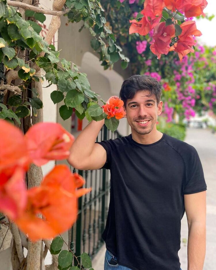 ���������� �������, ���� ������� ����, 36 ���, ������������ ��� ������, ����� � ���������