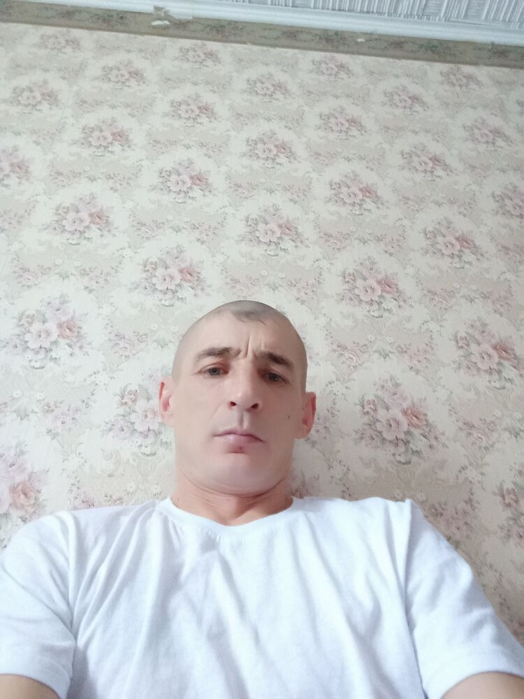  50077063  , 41 ,    