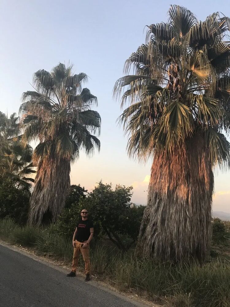 ���������� �����-���������, ���� ������� �������, 46 ���, ������������ ��� ������, ����� � ���������, c�������� ���������