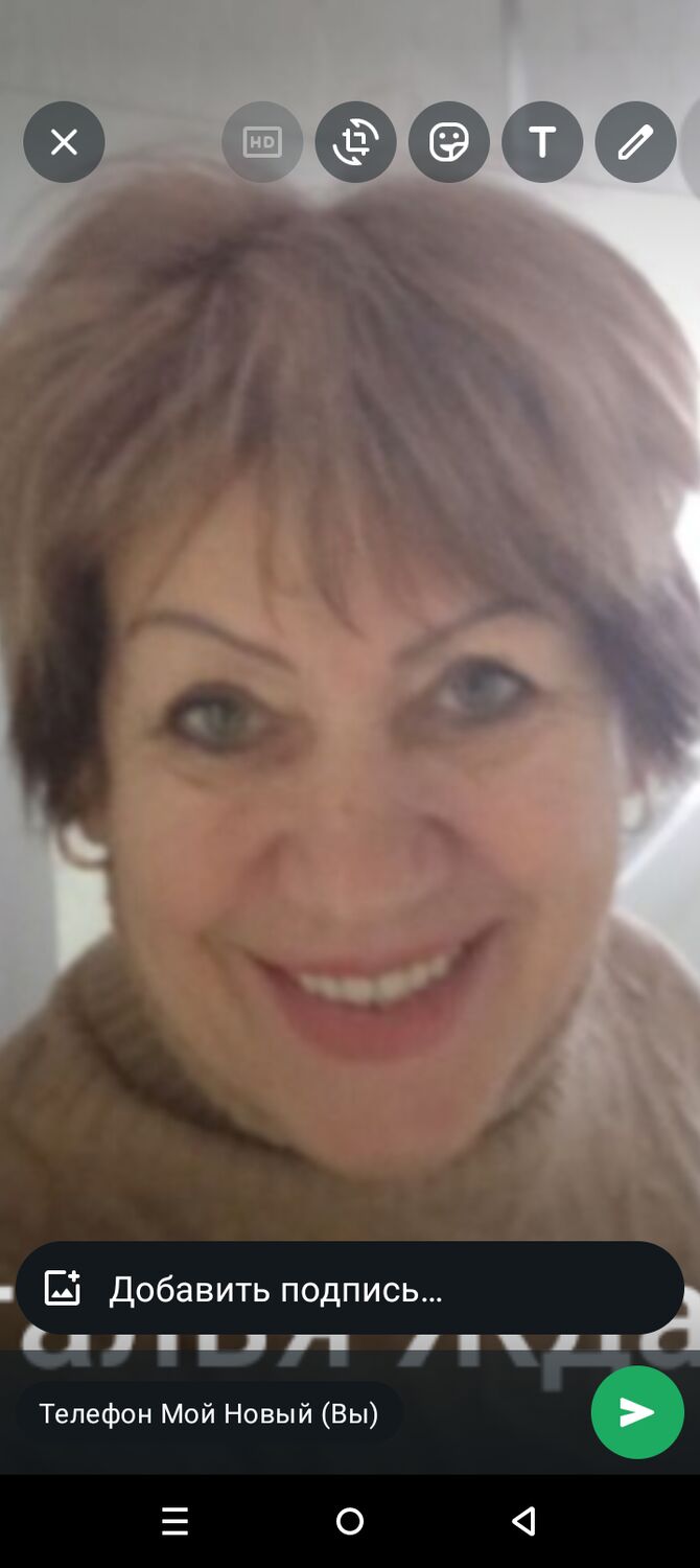  53985693  , 55 ,    -