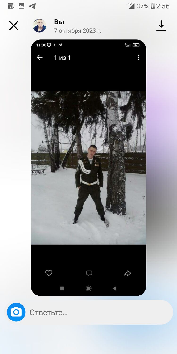 ���� 44511163 ������� ������, 34 ����, ���� ���������� � ������