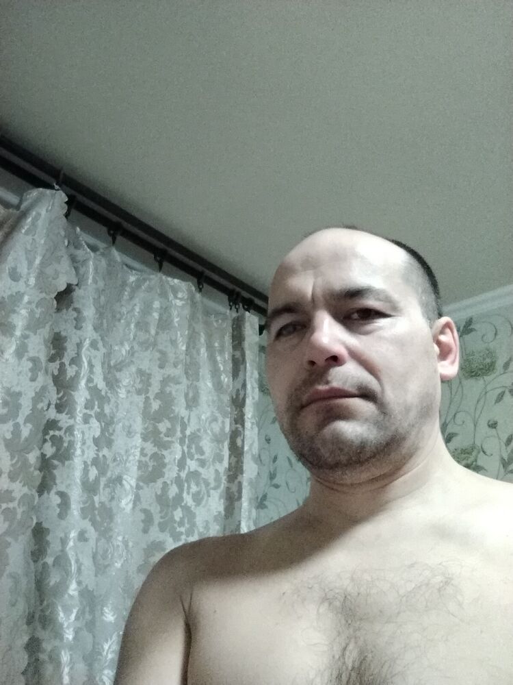  41037113  , 46 ,     
