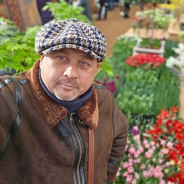 ���� 56006743 ������� ������, 44 ����, ���� ���������� � ���������