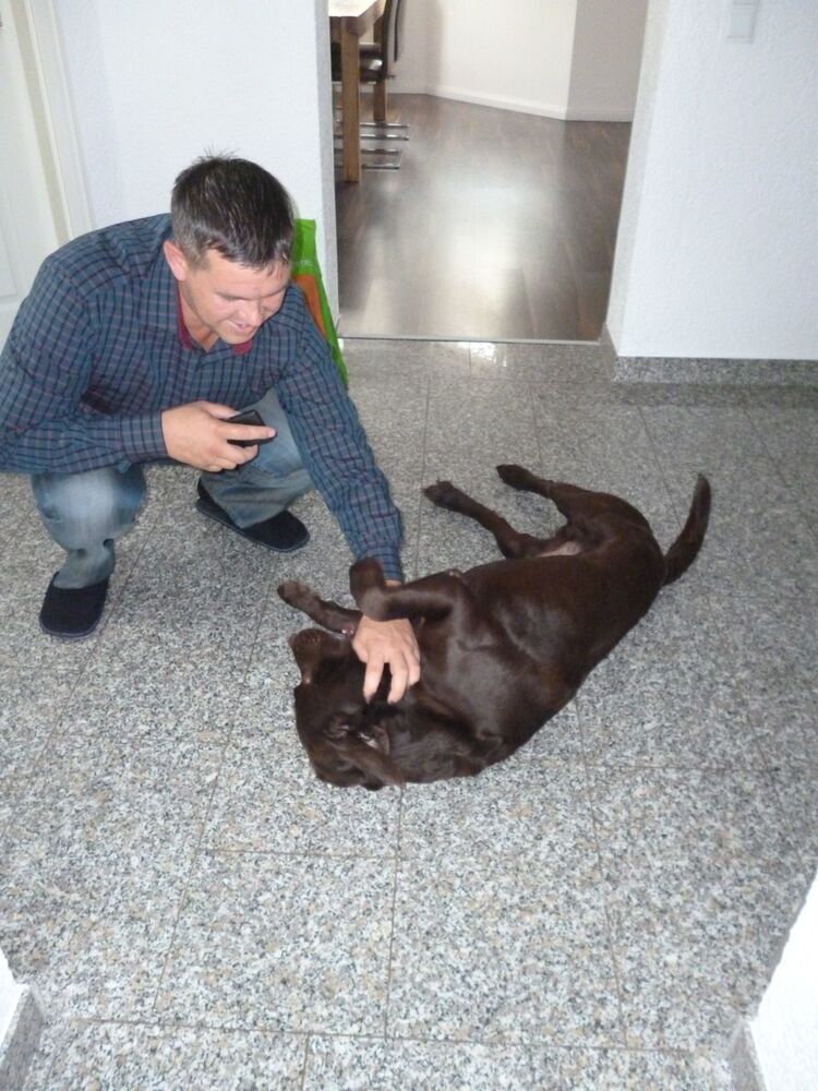 ���� 5775633 ������� �����, 47 ���, ���� ���������� � �������������