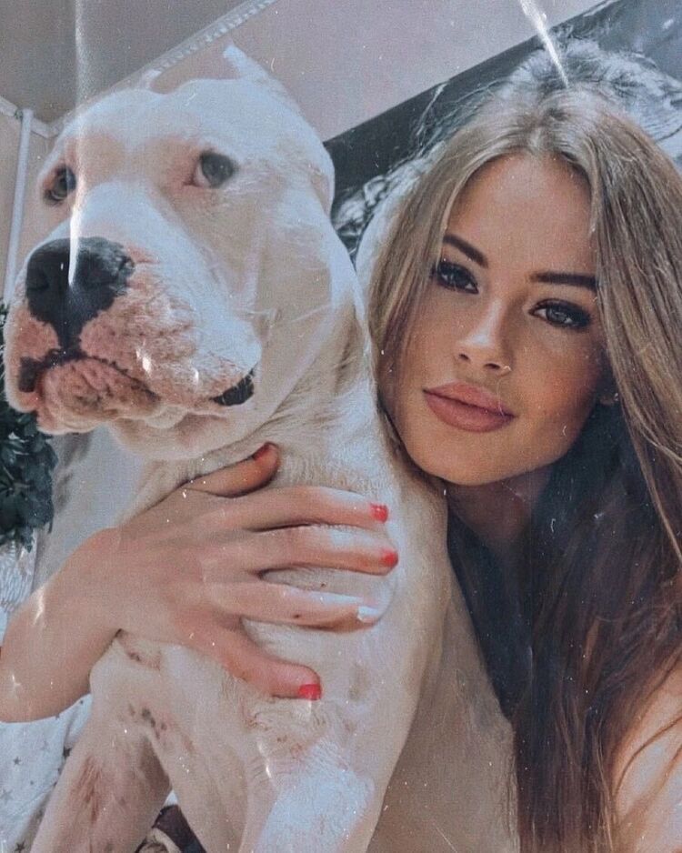 ���� 38588123 ������� �����, 36 ���, ���� ���������� � ������