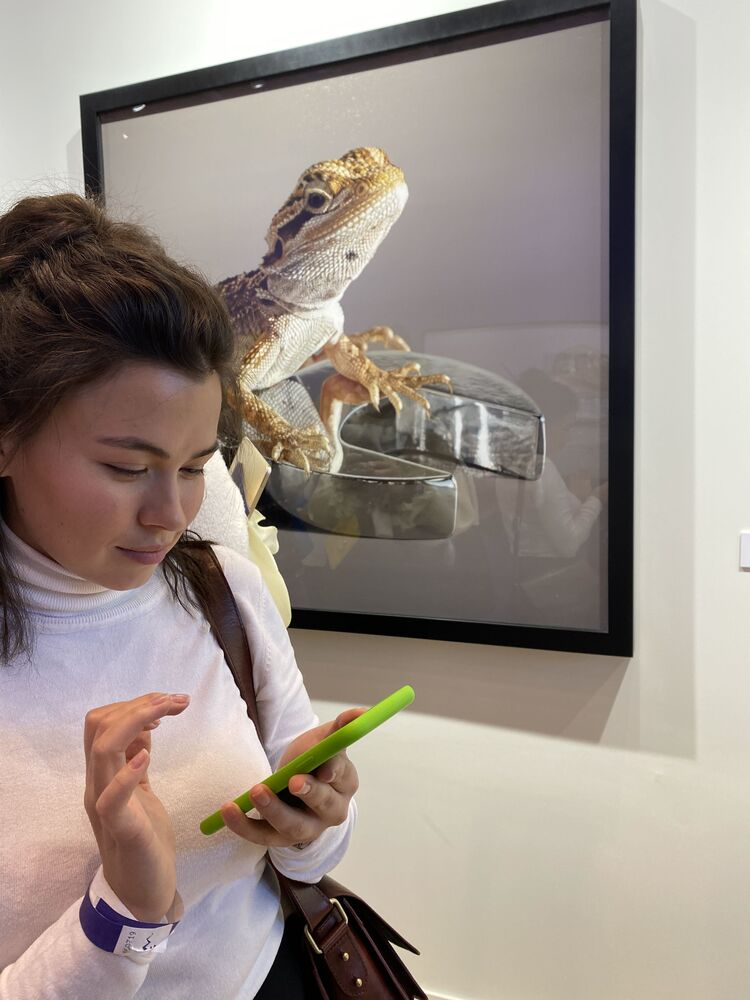 ���� 35887623 ������� ���������, 33 ����, ���� ���������� � ������