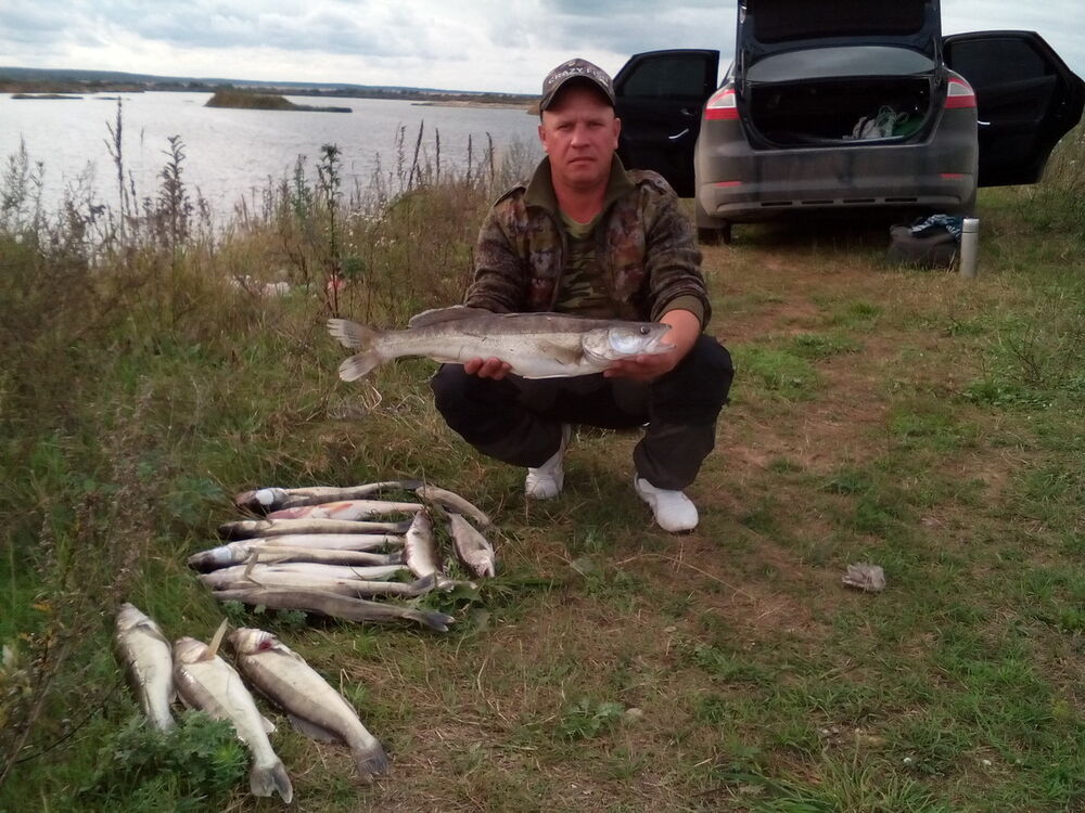 ���� 12610693 ������� ����, 45 ���, ���� ���������� � ������