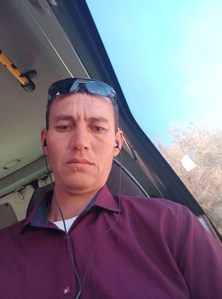 ���� 55513023 ������� ���������, 43 ����, ���� ���������� � ��������