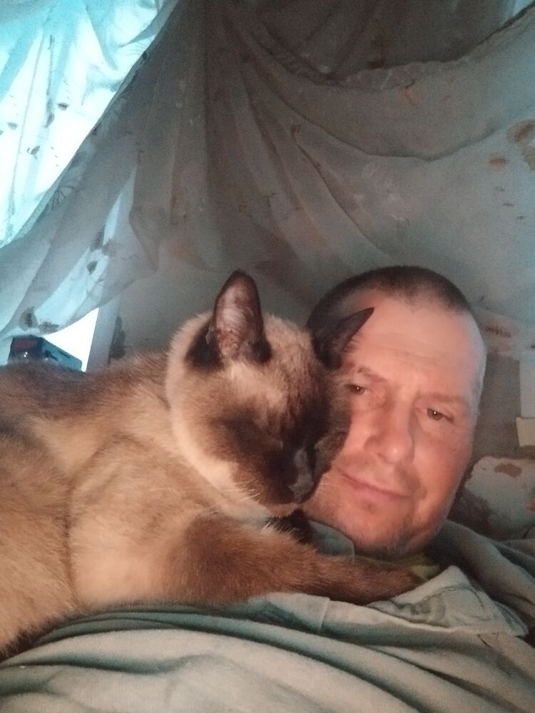 ���� 56027213 ������� ����, 44 ����, ���� ���������� � �������