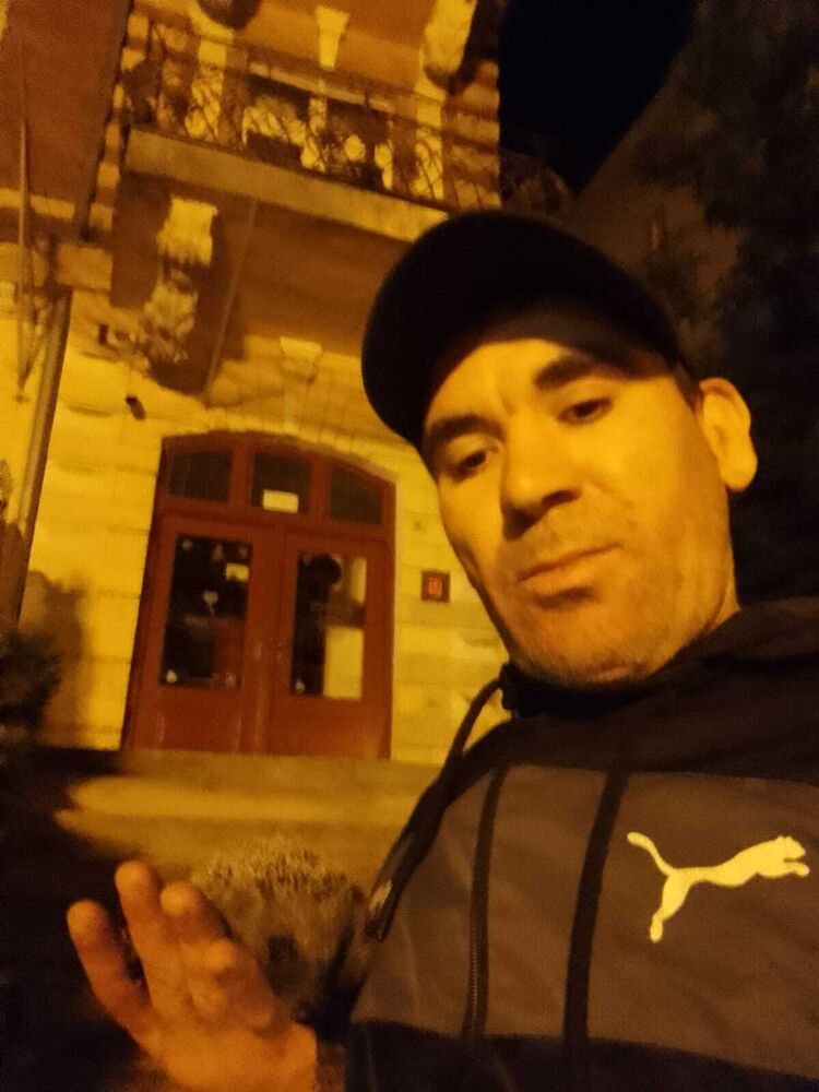  44458293  , 37 ,    
