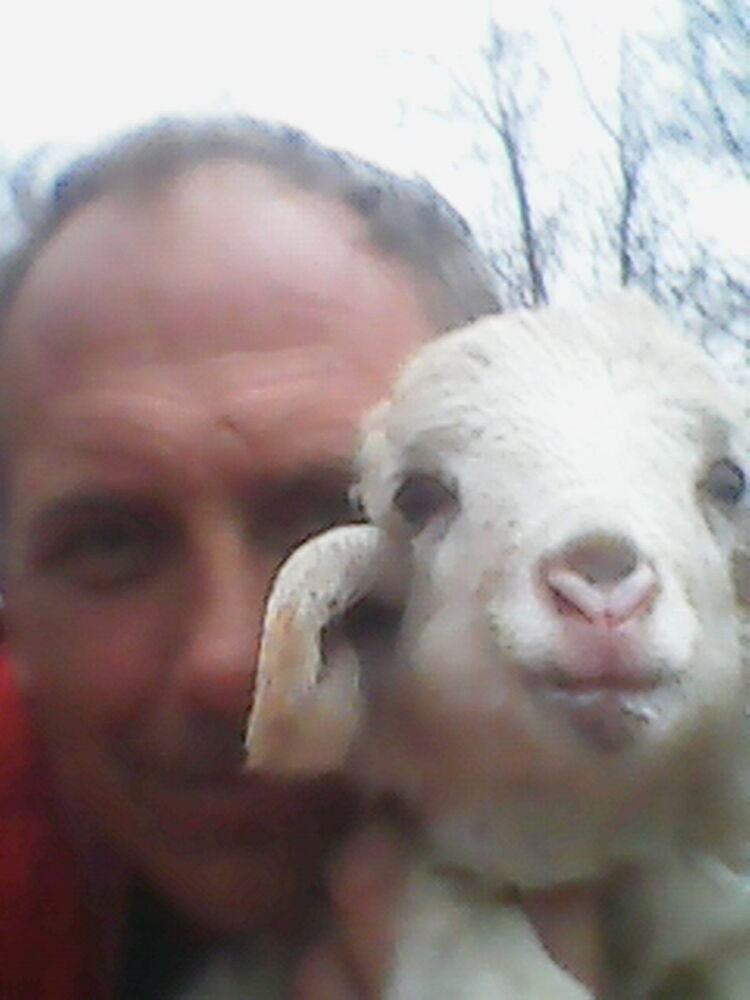  ,   , 57 ,   