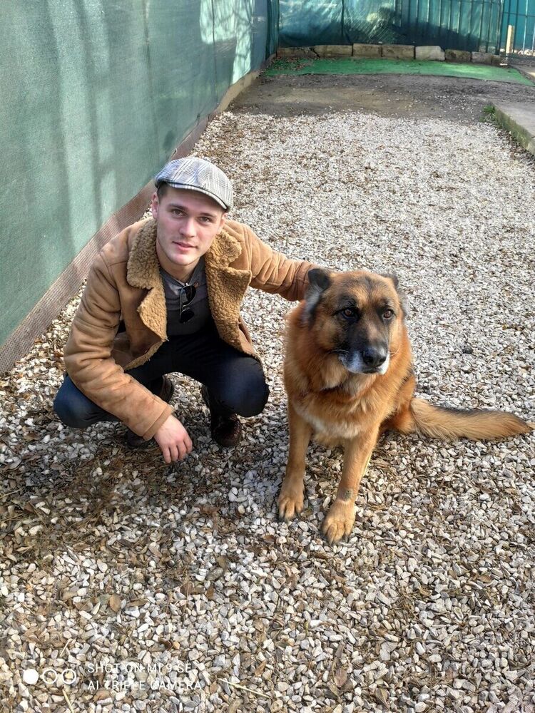 ���� 21990743 ������� ����, 29 ���, ���� ���������� � �����