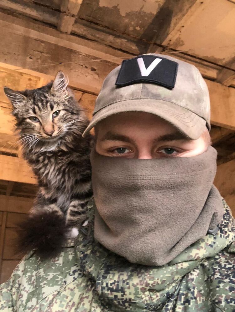 ���� 31134923 ������� �����, 26 ���, ���� ���������� � ������������