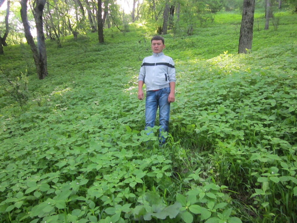 ���� 5209743 ������� ����, 55 ���, ���� ���������� � ������