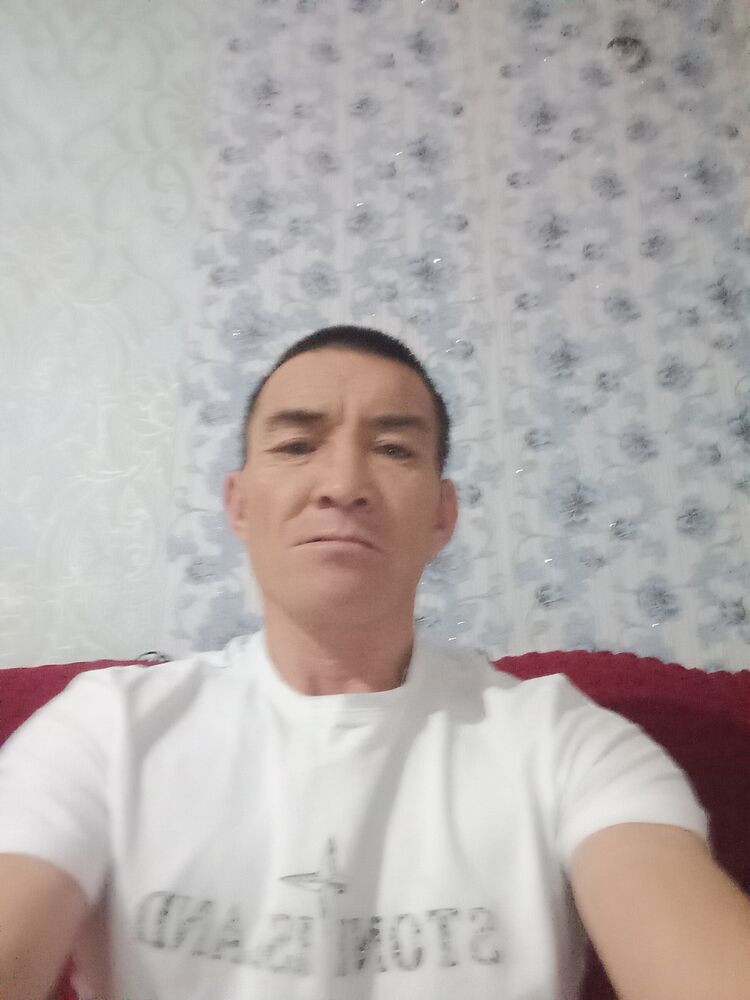  49261243  , 41 ,    