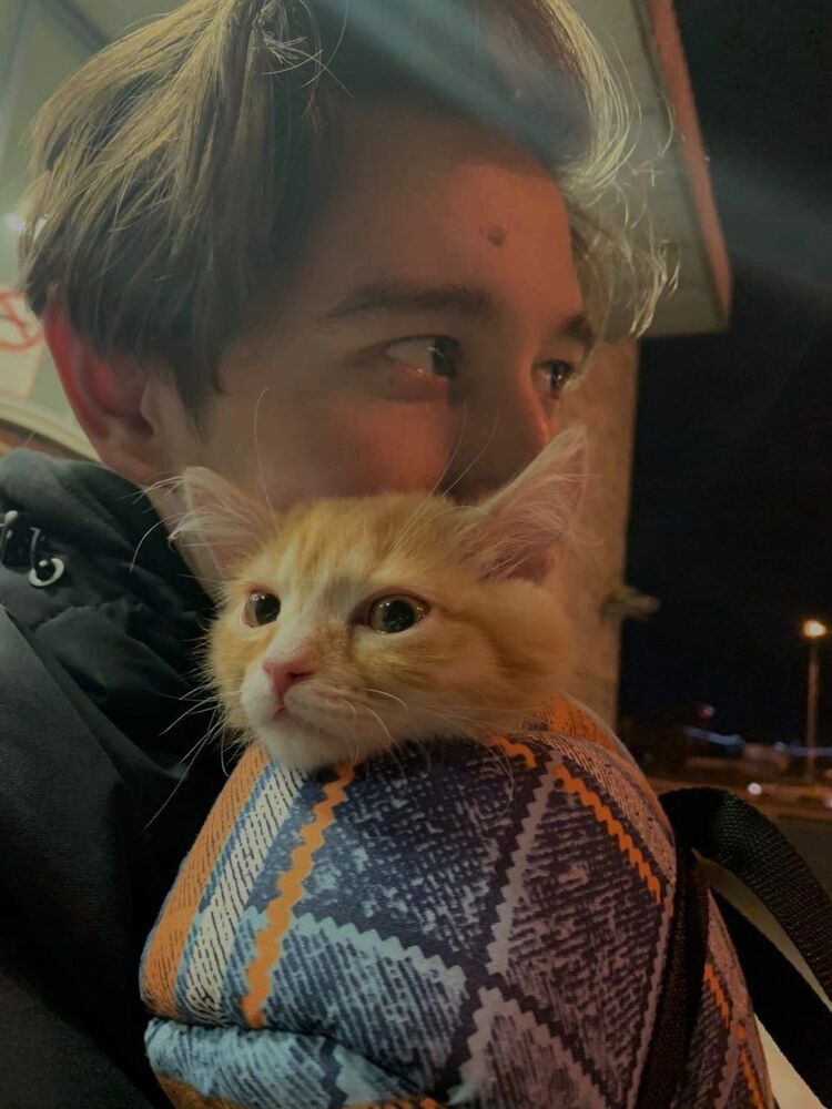  54653403  , 22 ,    -