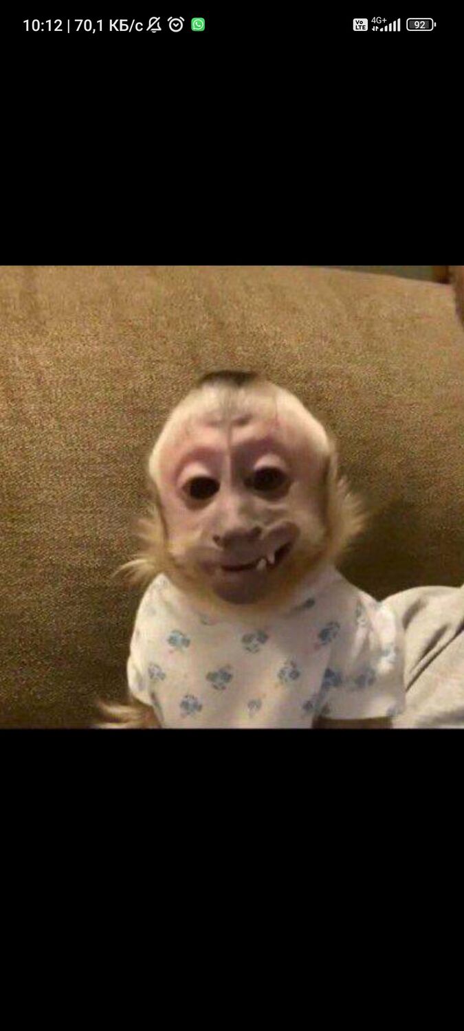 ���� 42576073 ����� Askhab, 20 ���, ���� ���������� � ����������