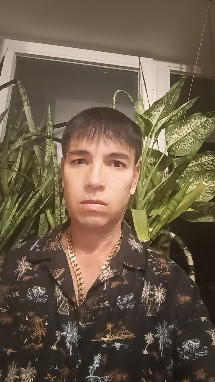  53925663  , 30 ,    