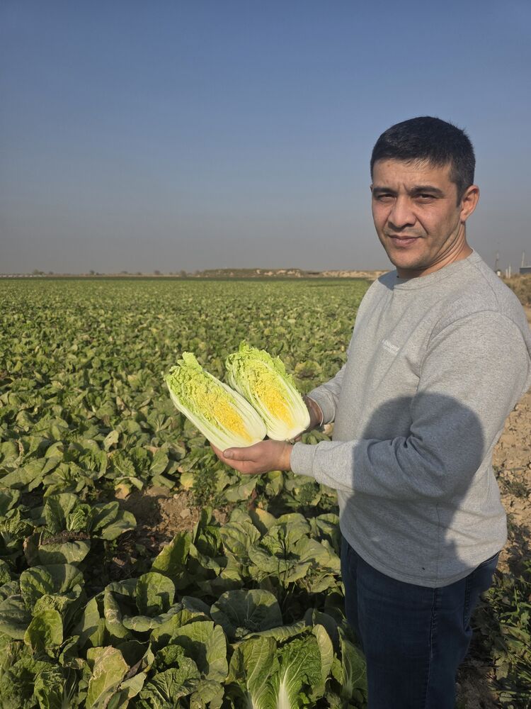 ���� 55275063 ������� ����, 35 ���, ���� ���������� � ��������