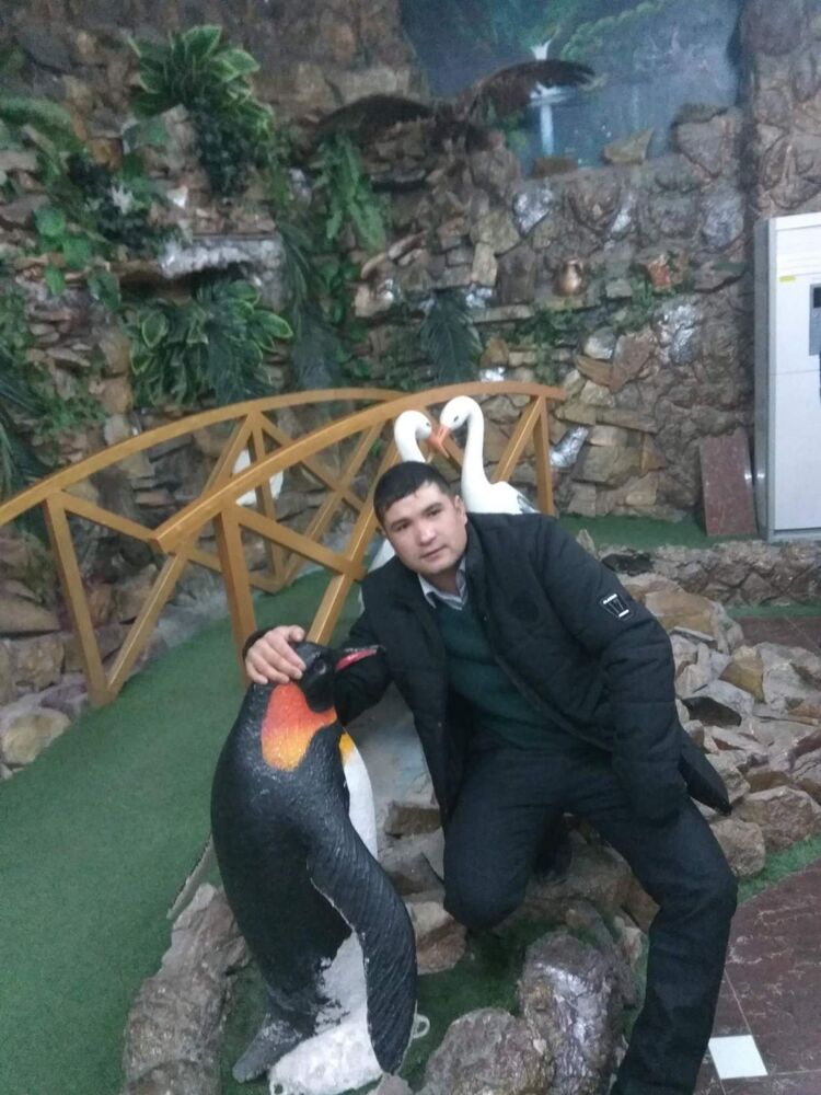 ���� 39660663 ������� �����, 29 ���, ���� ���������� � ������