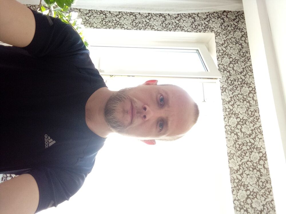  42450333  , 36 ,    -