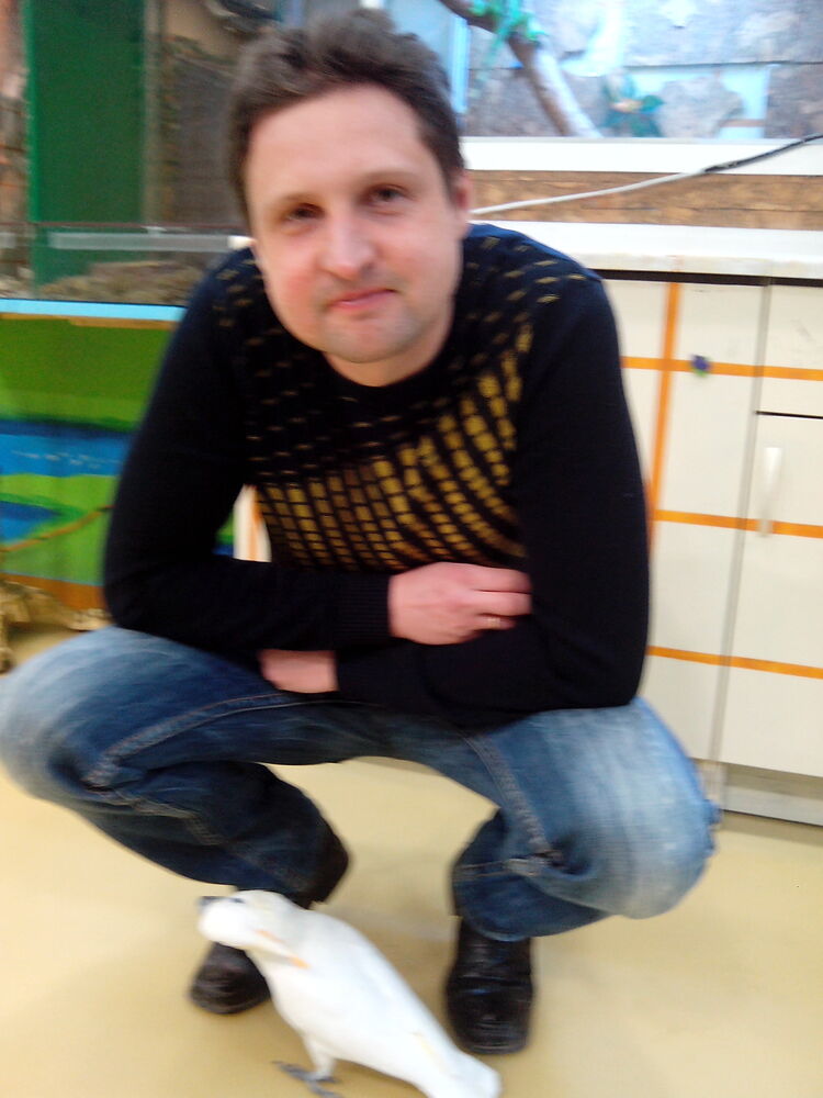 ���������� ������, ���� ������� �����, 50 ���, ������������ ��� ������, ����� � ���������