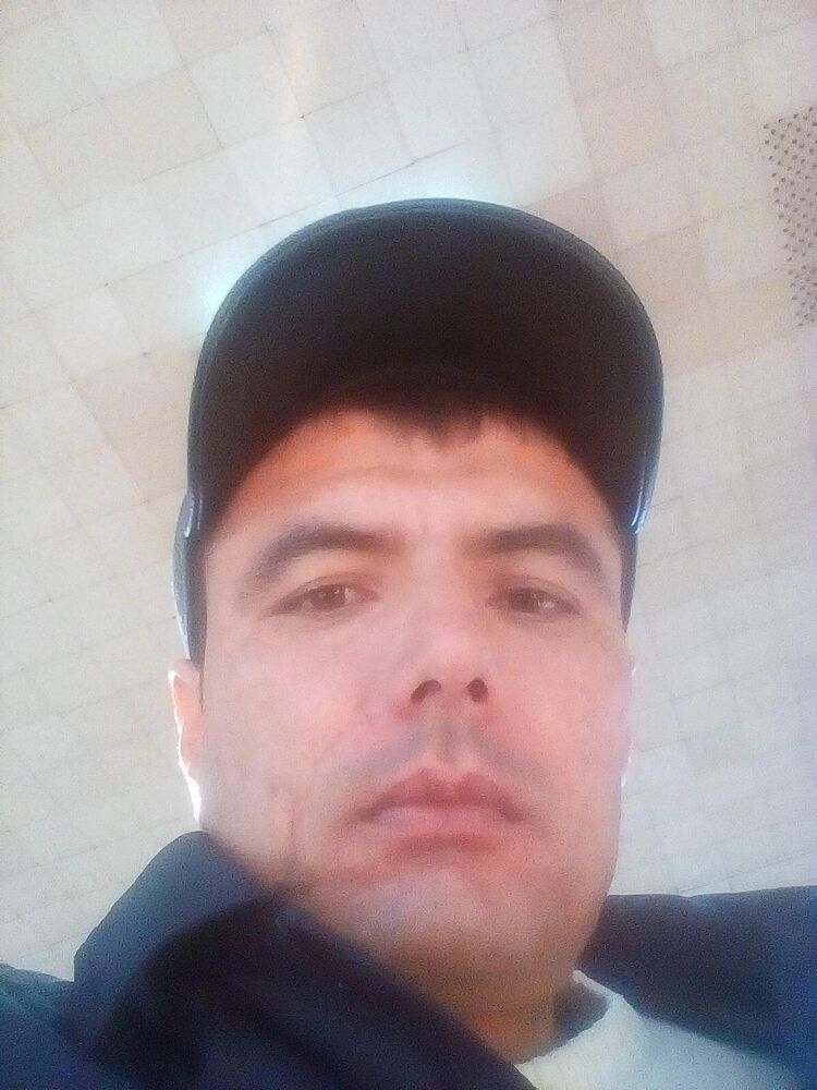  48560223  , 37 ,    