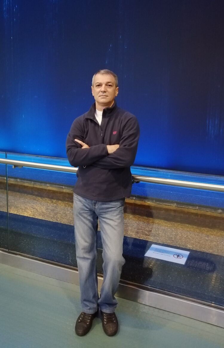 ���� 55472013 ������� ������, 51 ���, ���� ���������� � �������